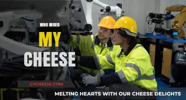 Who Moved My Cheese? Navigating Change and Embracing New Opportunities