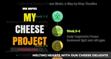 Who Moved My Cheese? Project: Adapting to Change and Embracing Growth
