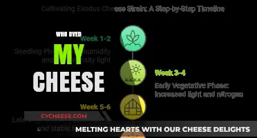 Who Moved My Cheese? Embracing Change for Personal Growth