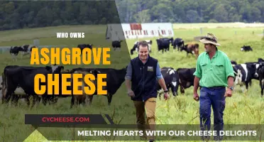 Unveiling the Ownership Mystery Behind Ashgrove Cheese: Who's in Charge?