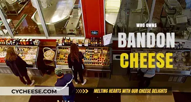 Unveiling the Ownership Mystery Behind Bandon Cheese: A Deep Dive