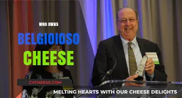 Unveiling Belgioioso Cheese: A Look at Its Ownership and History