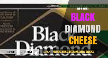 Uncovering the Ownership: Who Controls Black Diamond Cheese Today?