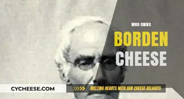 Unraveling the Mystery: Who Owns Borden Cheese Today?