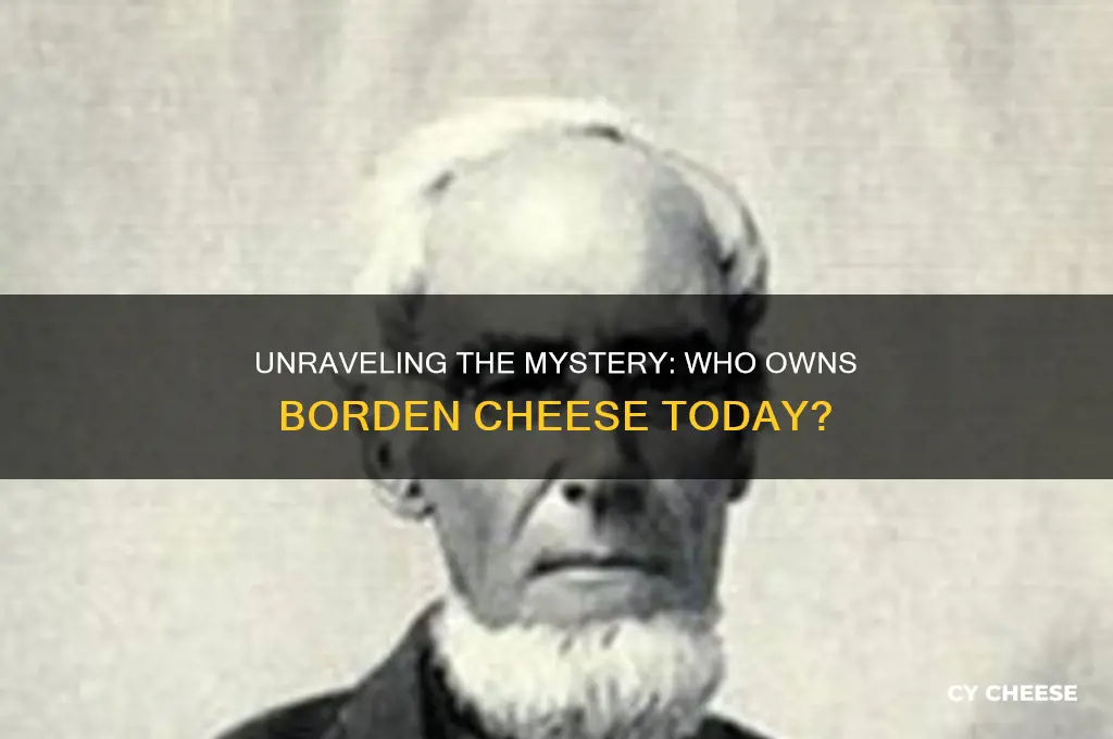 who owns borden cheese