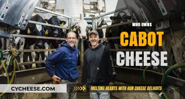 Uncovering the Ownership: Who Really Owns Cabot Cheese?