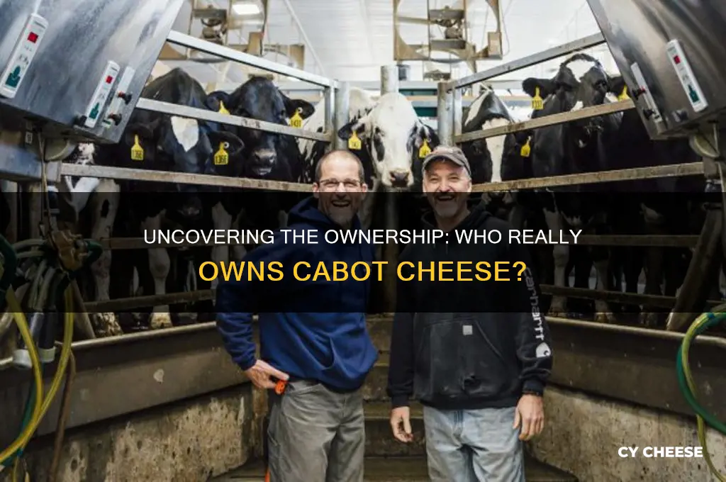 who owns cabot cheese