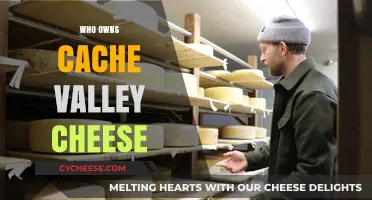 Who Owns Cache Valley Cheese? Uncovering the Company's Leadership