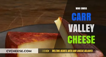 Who Owns Carr Valley Cheese? Uncovering the Legacy Behind the Brand