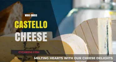 Who Owns Castello Cheese? Uncovering the Brand's Ownership History