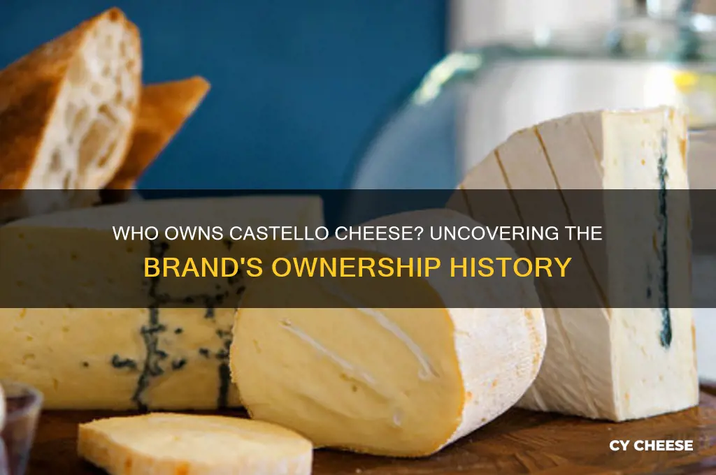 who owns castello cheese