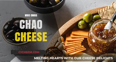 Unraveling the Mystery: Who Owns Chao Cheese and Its Legacy