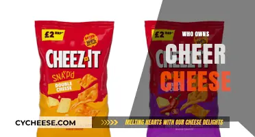 Who Owns Cheez-It? Uncovering the Company Behind the Iconic Snack