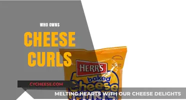 Unraveling the Crunchy Mystery: Who Really Owns Cheese Curls?