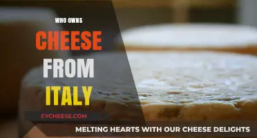 Exploring Italy's Cheese Heritage: Ownership, Traditions, and Global Influence