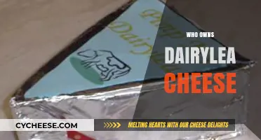 Who Owns Dairylea Cheese? Uncovering the Brand's Corporate Parentage