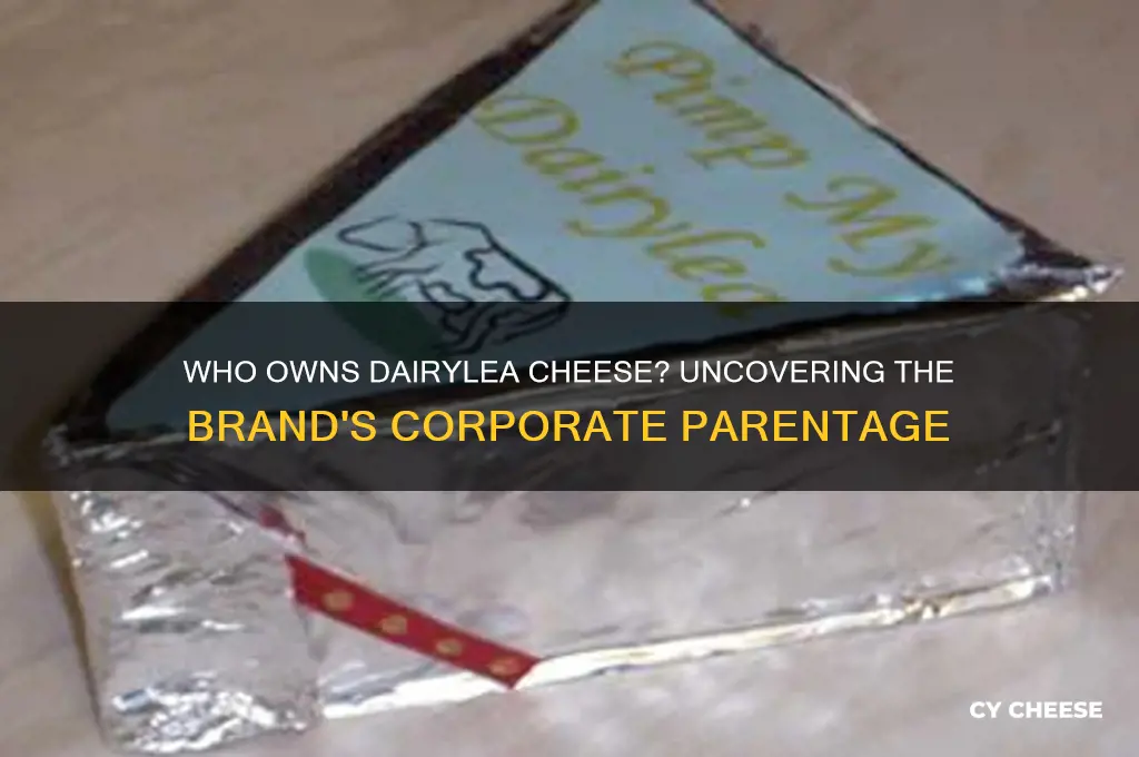 who owns dairylea cheese