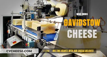 Uncovering the Ownership of Davidstow Cheese: A British Dairy Mystery