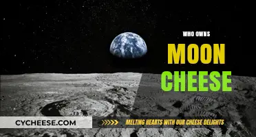 Who Owns Moon Cheese? Exploring the Lunar Property Debate