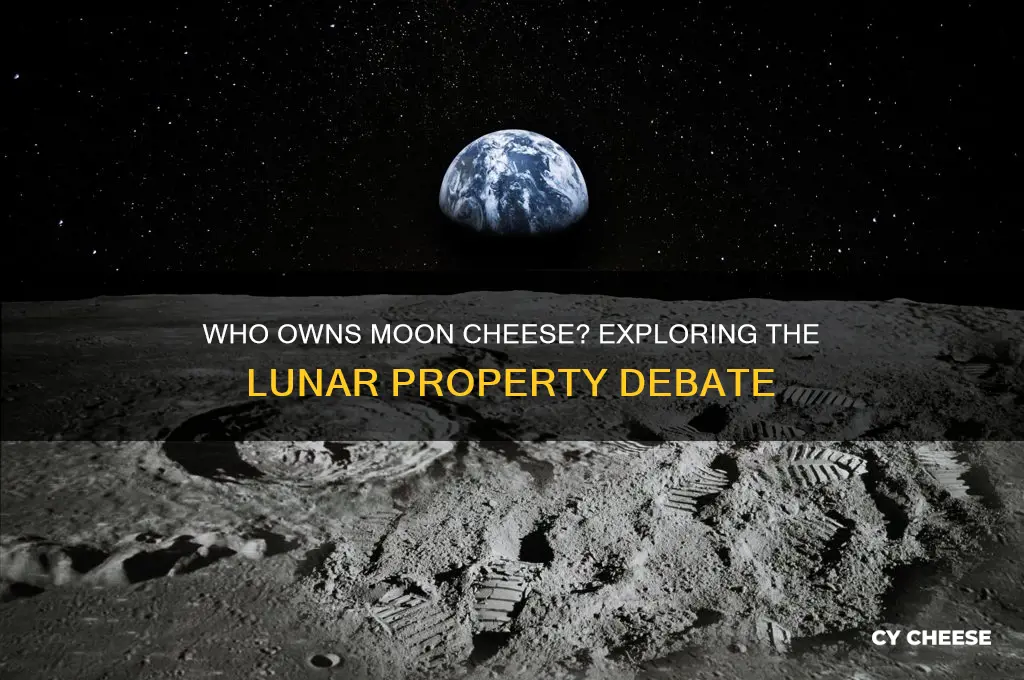 who owns moon cheese