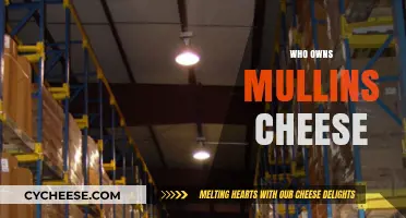 Uncovering the Ownership: Who Really Owns Mullins Cheese?
