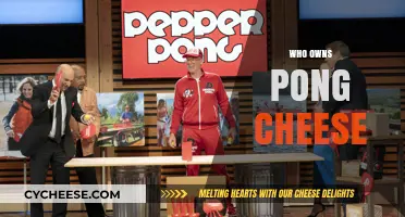 Unveiling the Ownership: Who Really Owns Pong Cheese?