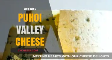 Unveiling the Ownership of Puhoi Valley Cheese: A Comprehensive Guide