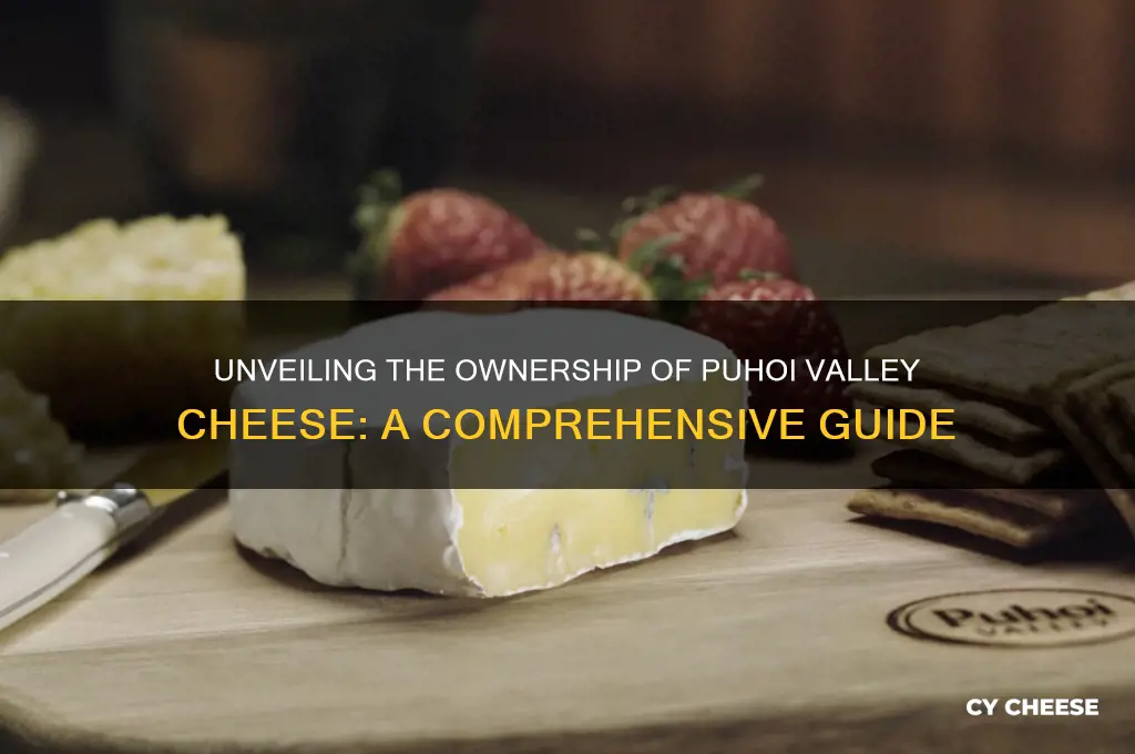 who owns puhoi valley cheese
