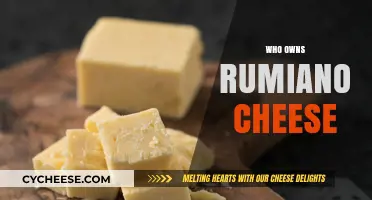 Uncovering the Legacy: Who Owns Rumiano Cheese Today?