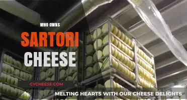 Unveiling the Legacy: Who Owns Sartori Cheese Today?