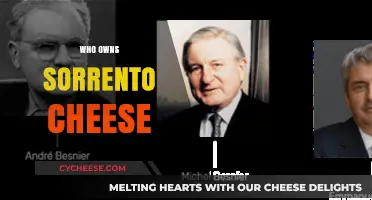Unraveling the Ownership Mystery: Who Controls Sorrento Cheese Today?