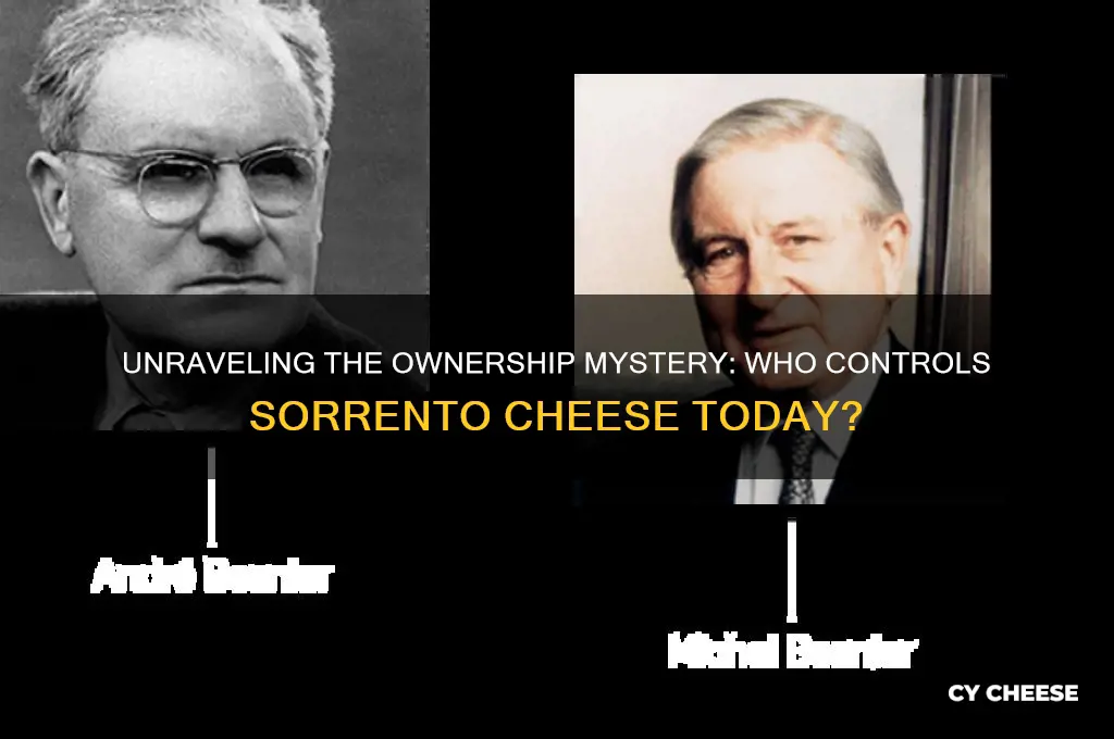 who owns sorrento cheese