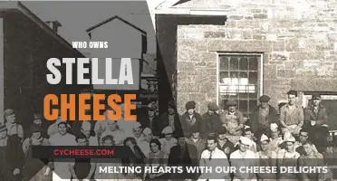 Who Owns Stella Cheese? Uncovering the Brand's Ownership and History