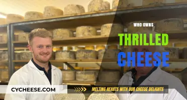 Unveiling the Mystery: Who Owns Thrilling Cheese Brands Today?
