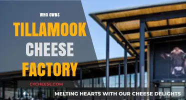 Who Owns Tillamook Cheese Factory? Uncovering the Cooperative's Legacy