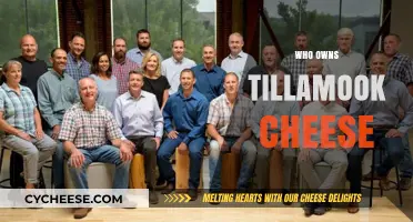 Who Owns Tillamook Cheese? Unraveling the Dairy Cooperative's Legacy