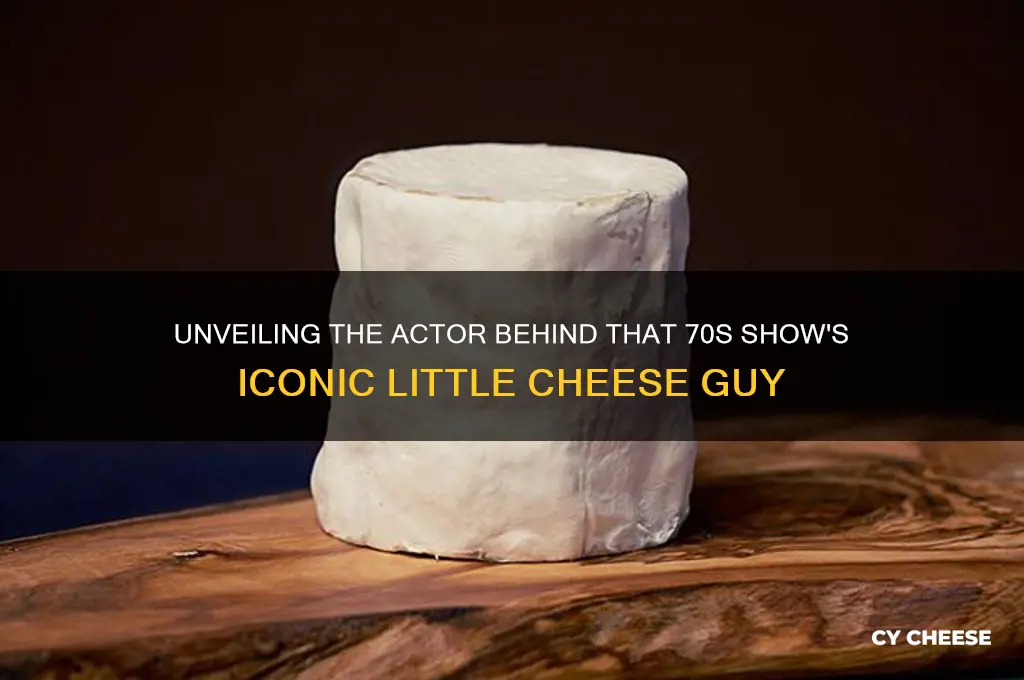 who plays the little cheese guy in that 70s show