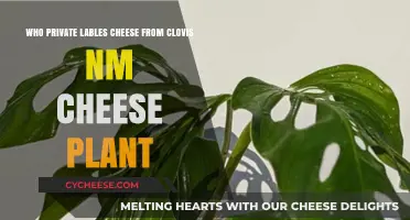 Who Private Labels Cheese from Clovis, NM Cheese Plant?
