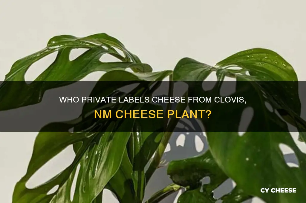 who private lables cheese from clovis nm cheese plant