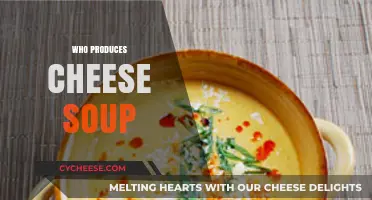 Who Makes Cheese Soup? Uncovering the Producers Behind This Creamy Delight