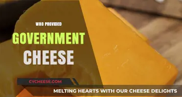 Unveiling the Source: Who Provided Government Cheese to Americans?
