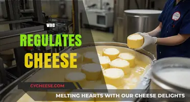 Who Regulates Cheese? Understanding Global Dairy Oversight and Standards