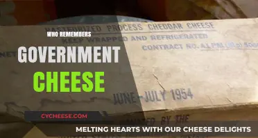 Who Remembers Government Cheese? A Nostalgic Look at Welfare History