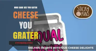 See You Kater, Cheese You Grater: Unraveling the Hilarious Pun Mystery