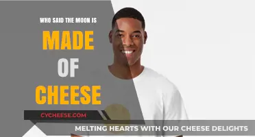 Moon Myth: Unraveling the Cheese Legend