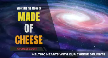 Moon Cheese Theory: Who Said It?
