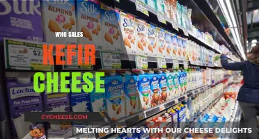 Discover Top Retailers Selling Kefir Cheese Near You and Online