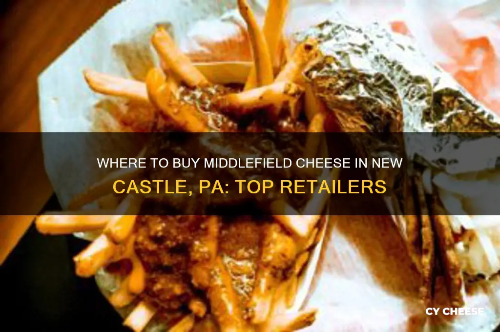 who sales middlefield cheese in new castle pa