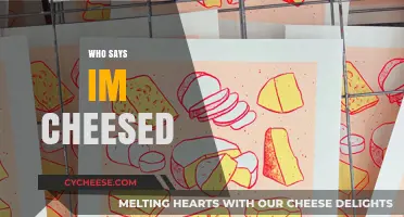 Who Says I'm Cheesed? Embracing the Art of Cheese Appreciation