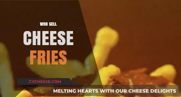 Discover Top Spots to Buy Delicious Cheese Fries Near You